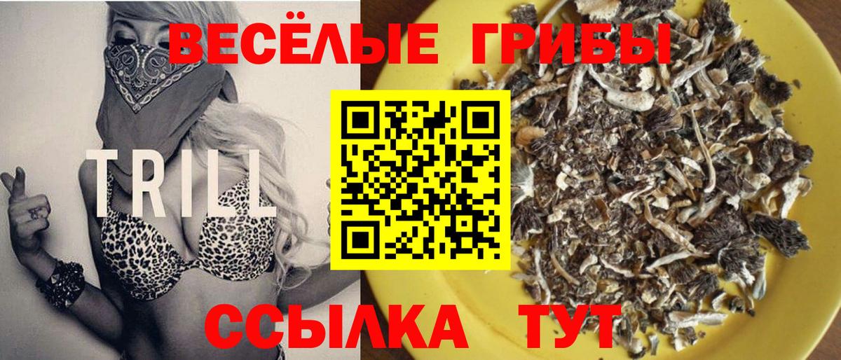 Галлюциногенные грибы Cubensis  Вход с VPN  Соликамск 